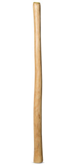 Medium Size Natural Finish Didgeridoo (TW691)